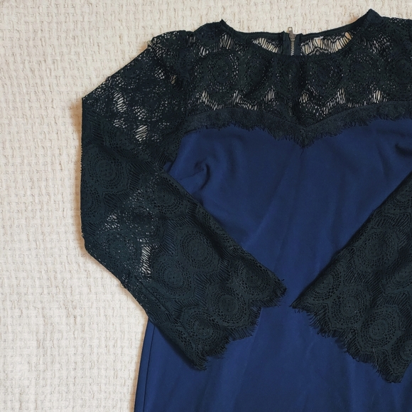 Black and Blue Lace Dress - Picture 2 of 3